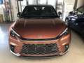 Lexus LBX Cool + Privilege Pack Bruin - thumbnail 8