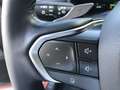Lexus LBX Cool + Privilege Pack Bruin - thumbnail 15