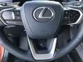 Lexus LBX Cool + Privilege Pack Bruin - thumbnail 14