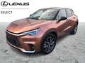 Lexus LBX Cool + Privilege Pack Bruin - thumbnail 1