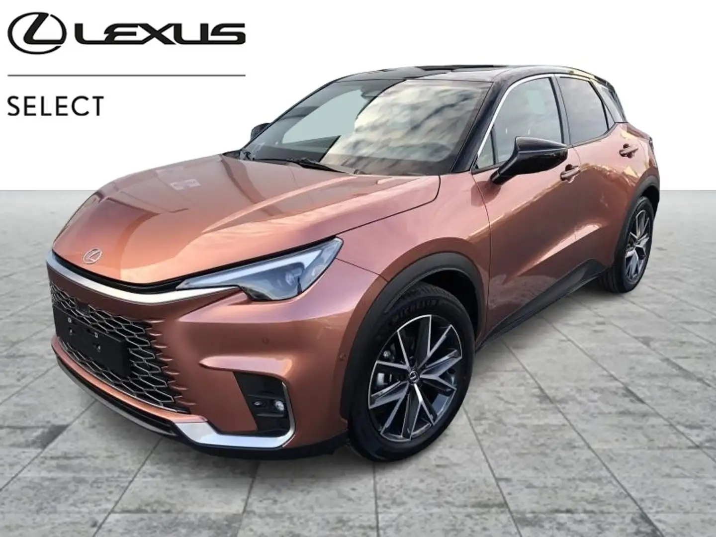 Lexus LBX Cool + Privilege Pack Bruin - 1