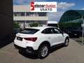 Audi Q3 SPB 40 TDI quattro S tronic Business Plus Bianco - thumbnail 4