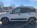 Fiat Panda Panda 1.0 firefly hybrid Cross SOLO 15Mila KM! Bianco - thumbnail 7