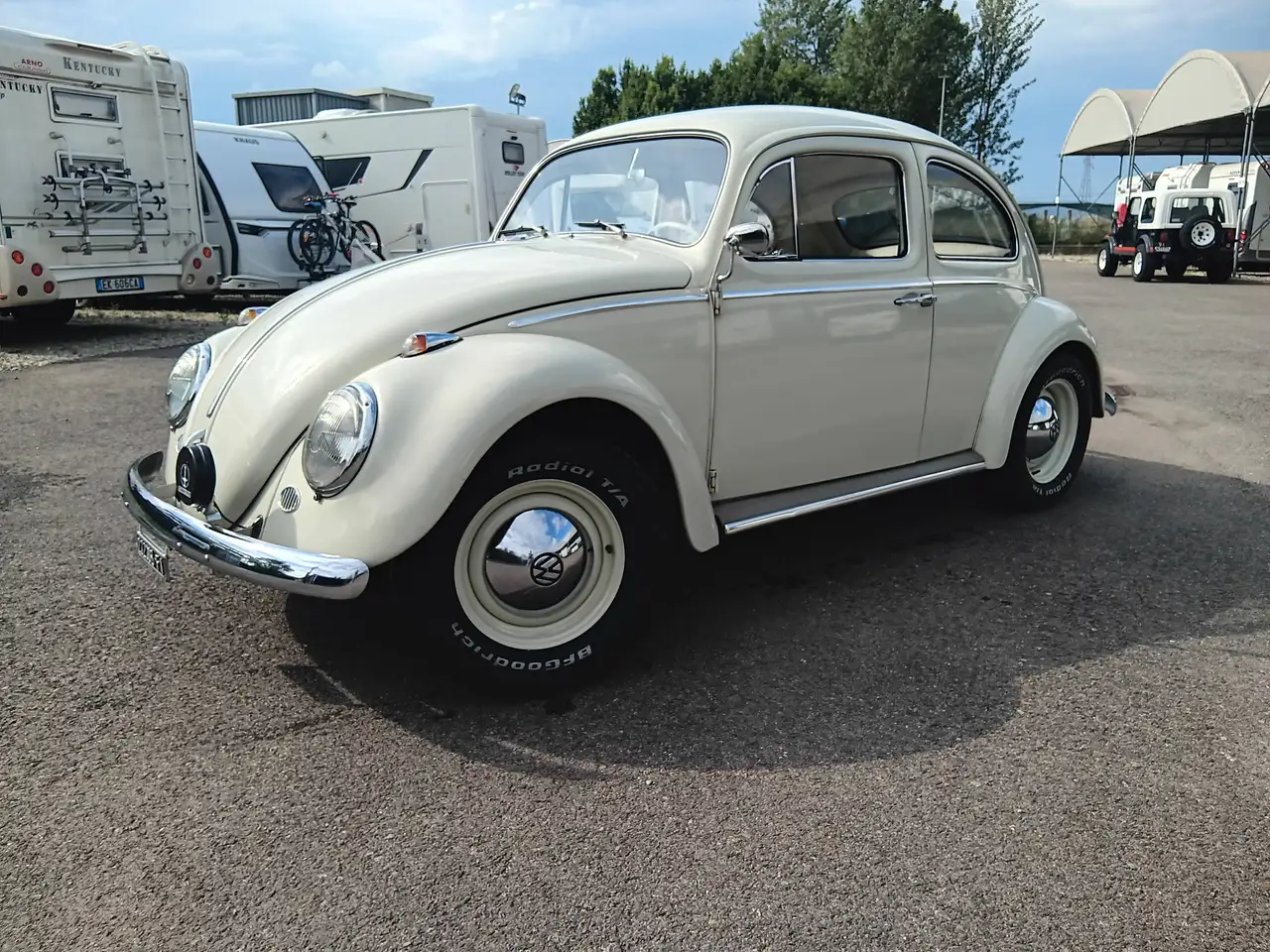 Volkswagen Maggiolino