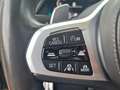 BMW X6 xDrive 30dA Gris - thumbnail 21