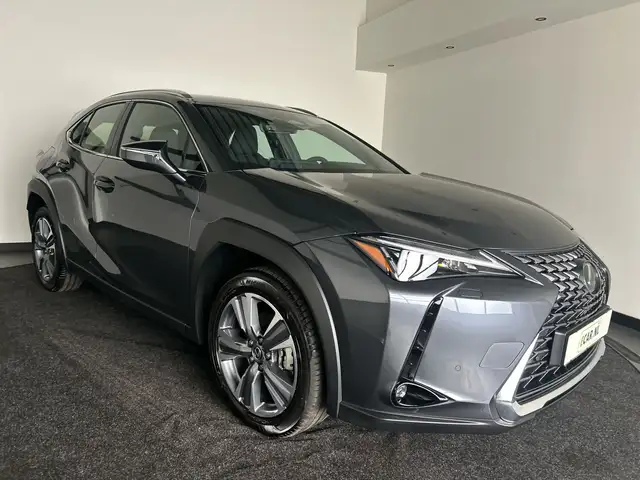 Lexus UX 300e Luxury Line 73 kWh | 45% korting | Winter-pakket |