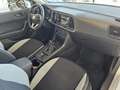 SEAT Ateca 1,0 TSI Reference Edition Grau - thumbnail 8