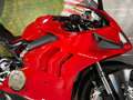Ducati Panigale V4 Rouge - thumbnail 6