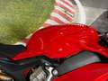 Ducati Panigale V4 Rouge - thumbnail 7