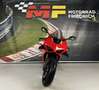 Ducati Panigale V4 Rouge - thumbnail 11