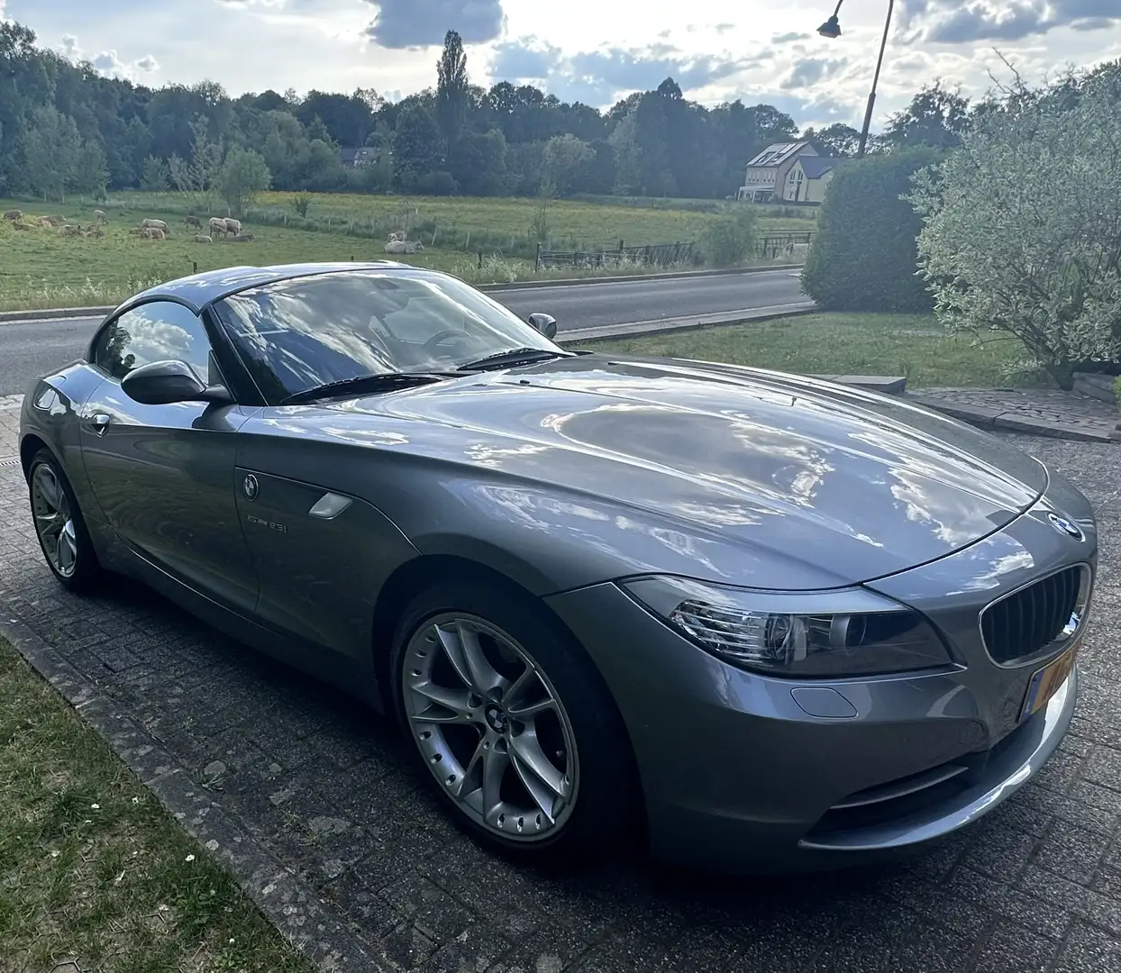 BMW Z4 Z4 sDrive23i Oro - 1