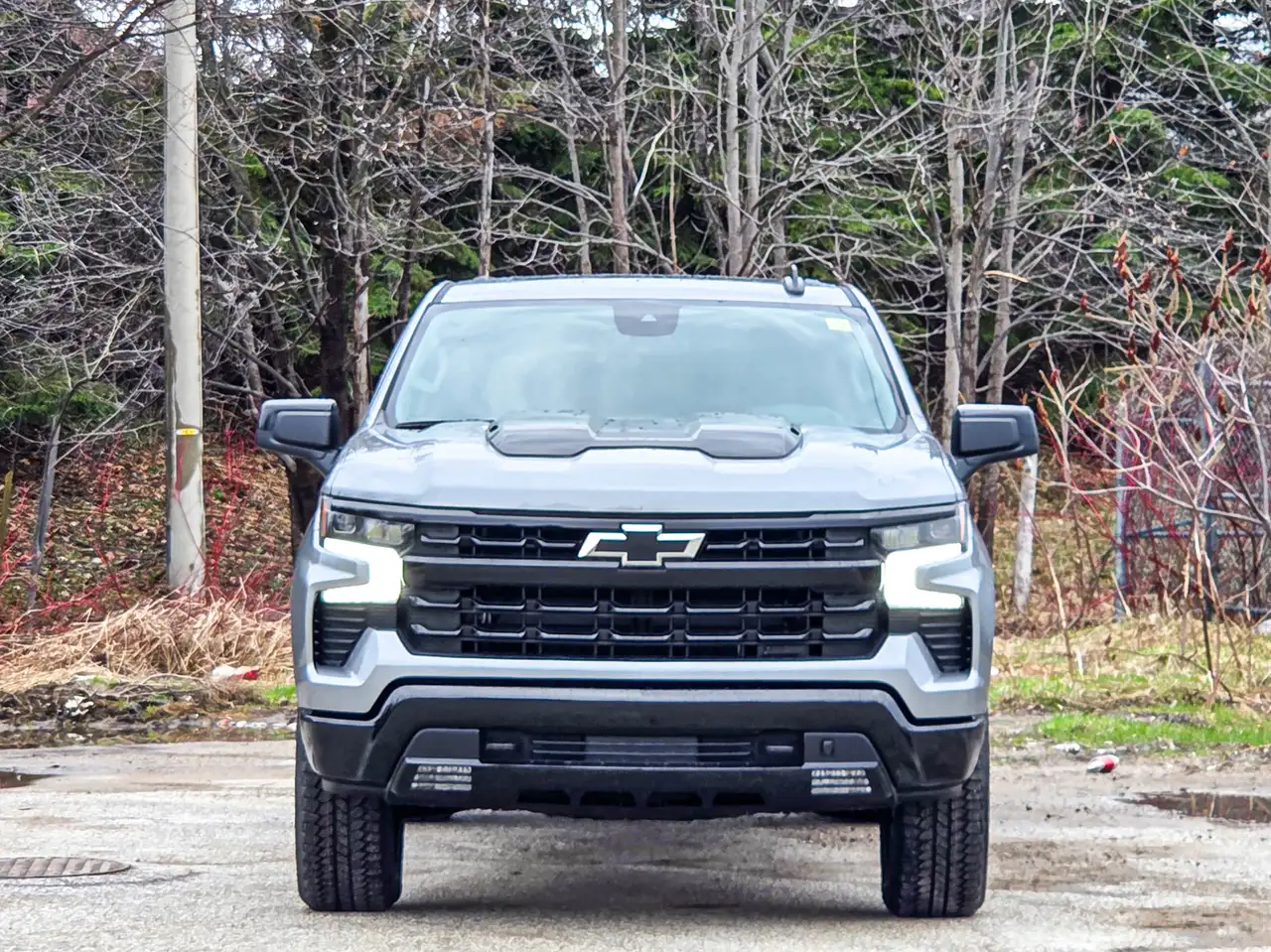 Chevrolet Silverado 1500 снимка Chevrolet Silverado 1500