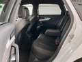 Audi A4 40 TDI quattro S tronic Navi Matrix Sta White - thumbnail 10
