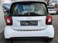 smart forTwo Sonstige Weiß - thumbnail 3