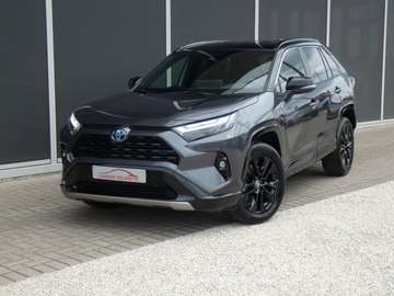 Hybrid *Style plus* TREKHAAK LEDER 360°Camera