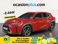 Lexus UX 250h Business 2WD Rojo - thumbnail 1