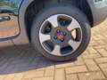 Fiat Panda Panda Cross MY22 City Plus Hybrid 1.0 GS Schwarz - thumbnail 12