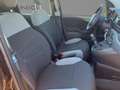 Fiat Panda Panda Cross MY22 City Plus Hybrid 1.0 GS Schwarz - thumbnail 5