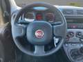 Fiat Panda Panda Cross MY22 City Plus Hybrid 1.0 GS Schwarz - thumbnail 8