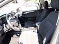 Ford Kuga 2.5 Plug In Hybrid 225 CV CVT 2WD Titanium Grigio - thumbnail 8