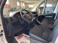 Citroen Jumper Furgone 33 L2H2 BlueHDI 120cv Km 11700 Bianco - thumbnail 11