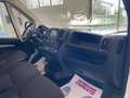 Citroen Jumper Furgone 33 L2H2 BlueHDI 120cv Km 11700 Bianco - thumbnail 9