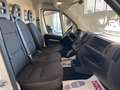 Citroen Jumper Furgone 33 L2H2 BlueHDI 120cv Km 11700 Bianco - thumbnail 10