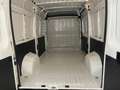 Citroen Jumper Furgone 33 L2H2 BlueHDI 120cv Km 11700 Bianco - thumbnail 16