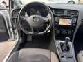 Volkswagen Golf 5p 1.6 tdi Executive 110cv - thumbnail 14