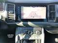 Skoda Kodiaq 2.0 Bi-TDI RS 4x4 (EURO 6d-TEMP) Schwarz - thumbnail 9