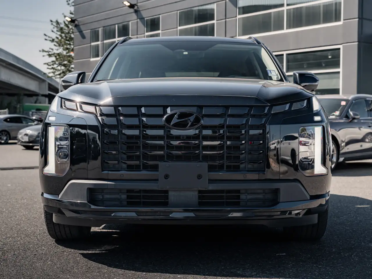 Hyundai PALISADE снимка Hyundai PALISADE