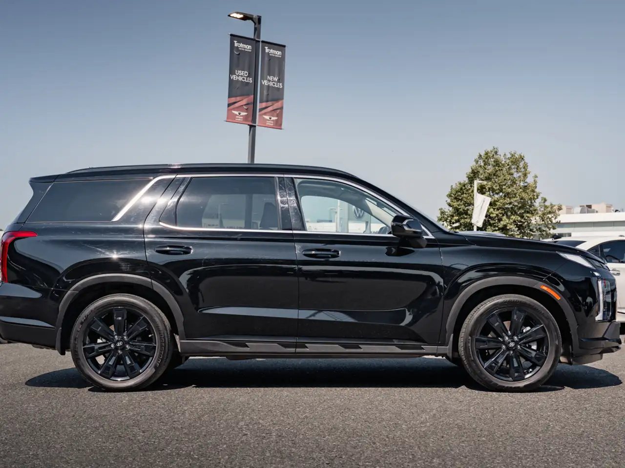 Hyundai PALISADE снимка Hyundai PALISADE