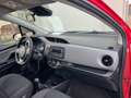Toyota Yaris 1.0 72 CV 5 porte Lounge Grigio - thumbnail 6