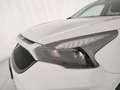 DR Automobiles DR F35 DR F35 1.5 turbo Gpl 156cv auto Weiß - thumbnail 25