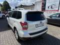Subaru Forester FORESTER 2.0diesel AWD Exclusive KAMERA PANO NAV Weiß - thumbnail 3