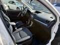 Subaru Forester FORESTER 2.0diesel AWD Exclusive KAMERA PANO NAV Weiß - thumbnail 17