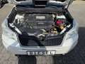 Subaru Forester FORESTER 2.0diesel AWD Exclusive KAMERA PANO NAV Weiß - thumbnail 29