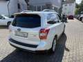 Subaru Forester FORESTER 2.0diesel AWD Exclusive KAMERA PANO NAV Weiß - thumbnail 2