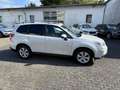 Subaru Forester FORESTER 2.0diesel AWD Exclusive KAMERA PANO NAV Weiß - thumbnail 7