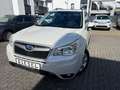 Subaru Forester FORESTER 2.0diesel AWD Exclusive KAMERA PANO NAV Weiß - thumbnail 6