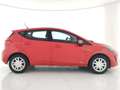 Ford Fiesta 5p 1.1 Plus s&s 75cv Rosso - thumbnail 3