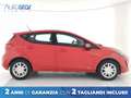 Ford Fiesta 5p 1.1 Plus s&s 75cv Rosso - thumbnail 3