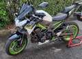 Kawasaki Z 900 Bianco - thumbnail 13