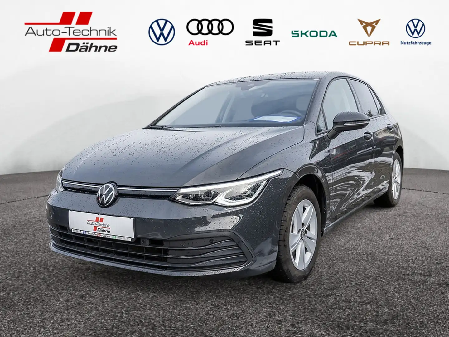 Volkswagen Golf VIII 1.5 TSI eHybrid Style STANDHZ LED Grau - 1