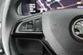 Skoda Karoq 1.5 TSI ACT 150pk DSG Business Edition Trekhaak Ca Zwart - thumbnail 19