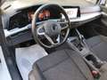 Volkswagen Golf VIII 2020 1.0 tsi evo Life 110cv NEOP. IVA ESPOSTA Bianco - thumbnail 7