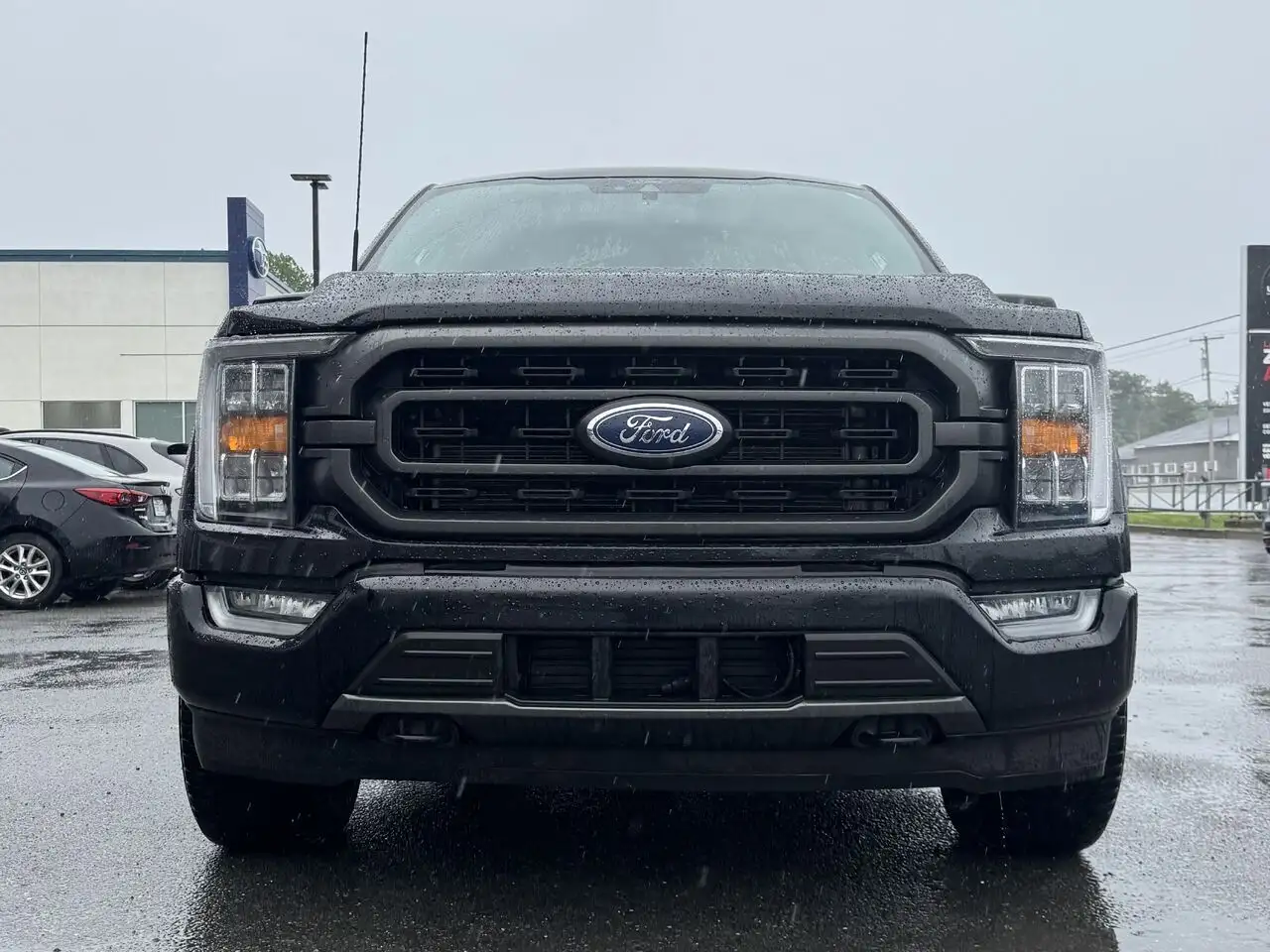 Ford F 150 fotografie Ford F 150