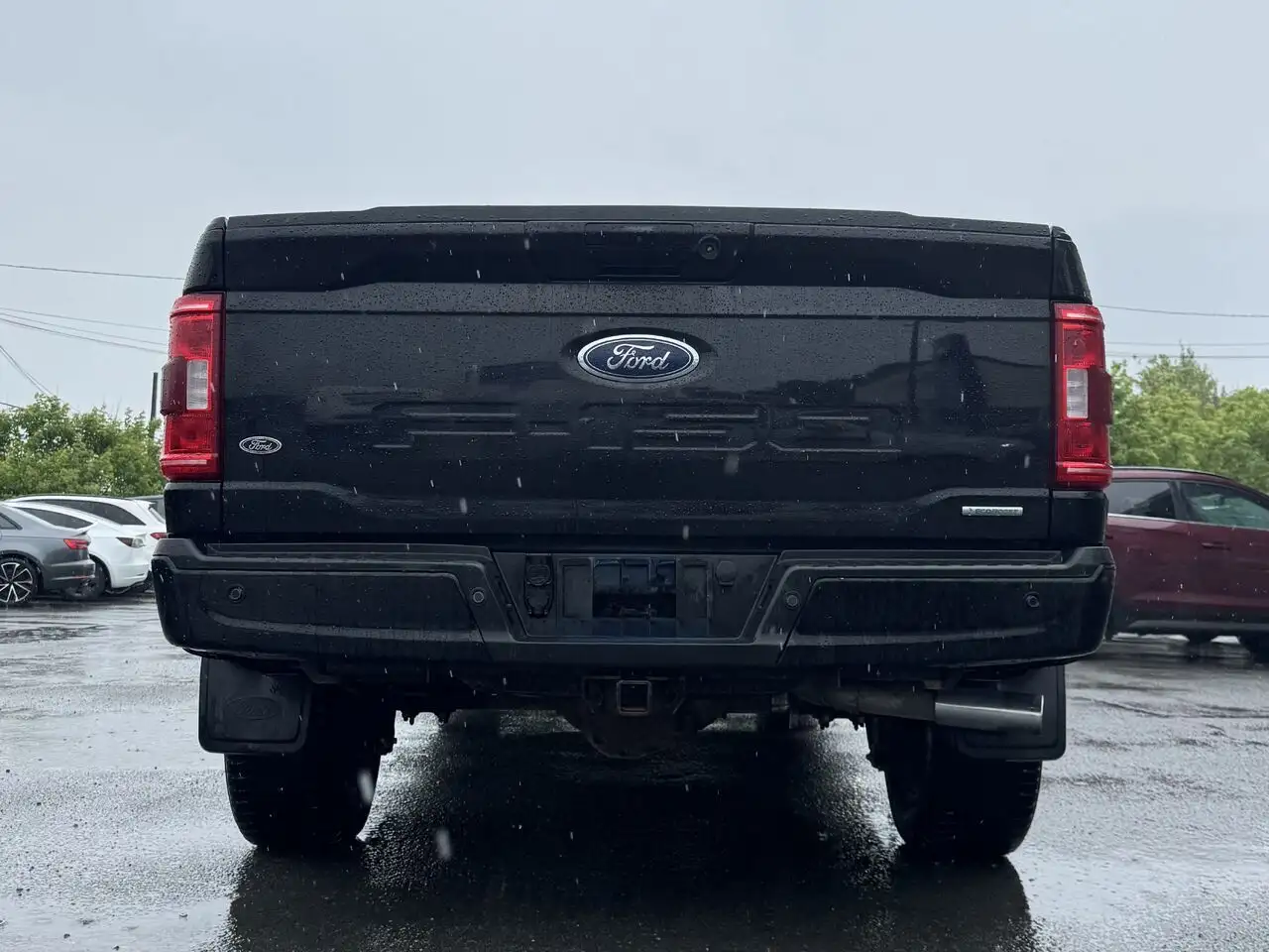 Ford F 150 fotografie Ford F 150
