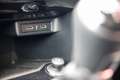 Volkswagen T-Roc 1.0 TSI 115 CV Blanc - thumbnail 17