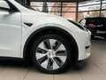 Tesla Model Y RWD RFK Abstandstemp. uvm. Weiß - thumbnail 5